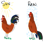 sun rain